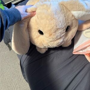 Bunny plushie